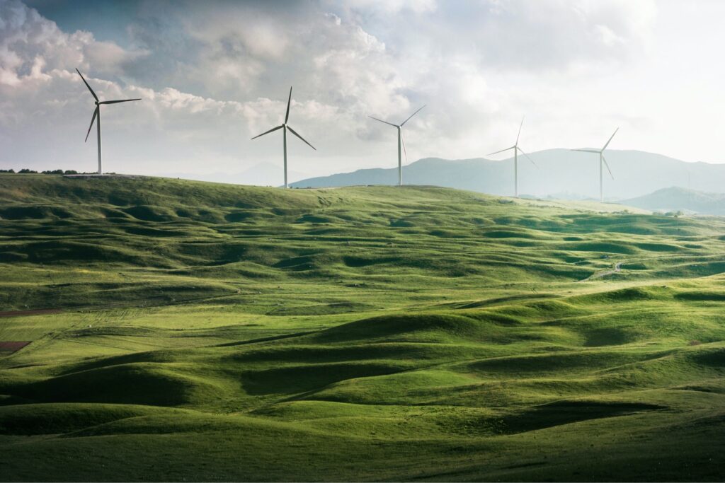 Economía Verde: Crear un Negocio Sostenible en Reino Unido