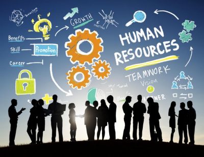 HR Consulting para optimizar la gestión del talento empresarial